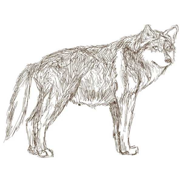 Loup vue de côté croquis icône — Image vectorielle