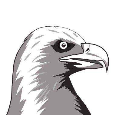 Kartal simgesi. Hayvan ve sanat tasarımı. Vektör grafiği