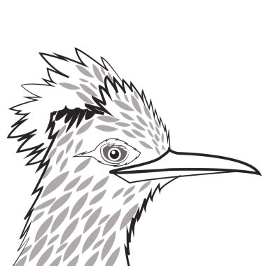 Kuş simgesi. Hayvan ve sanat tasarımı. Vektör grafiği