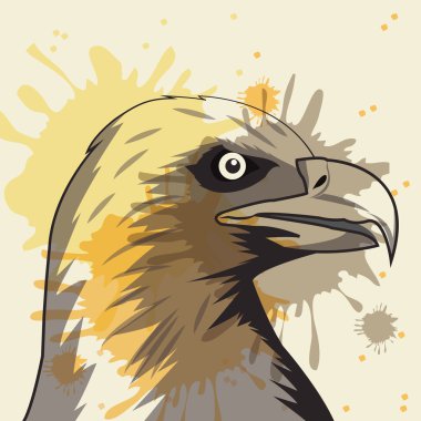 Kartal simgesi. Hayvan ve sanat tasarımı. Vektör grafiği