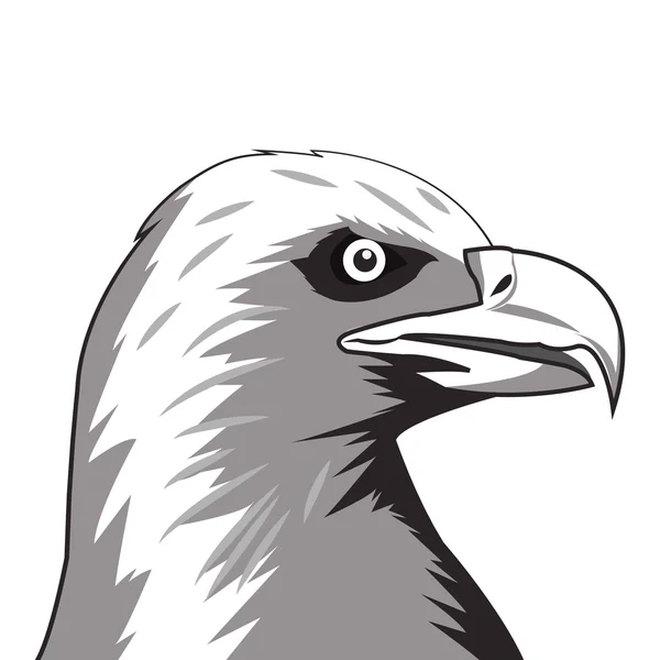 Eagle icon. Animal and art design. Vector graphic — Stock Vector