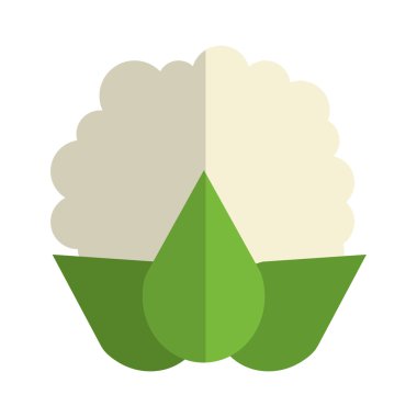 Bütün karnabahar simgesi