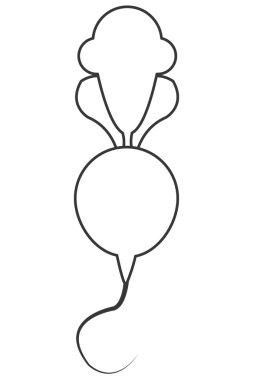 Bütün turp simgesi