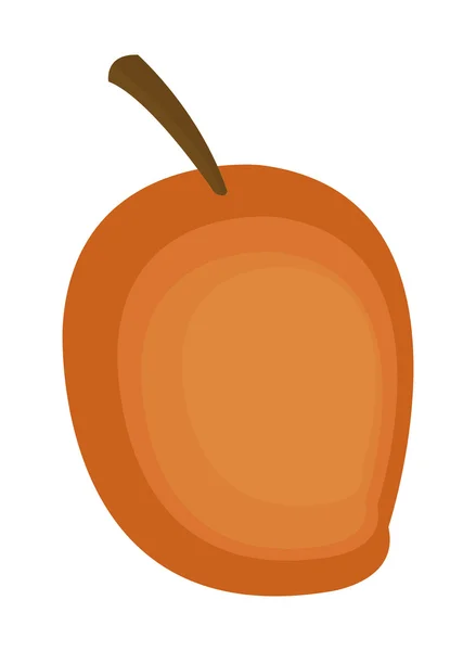 Whole ripe mango icon — Stock Vector