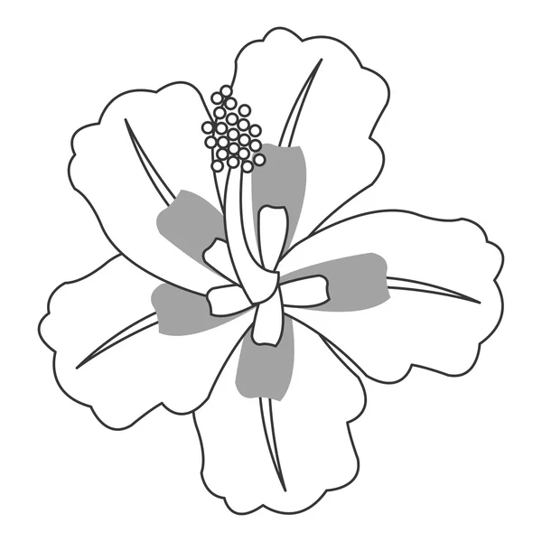 Εικονίδιο τροπικό λουλούδι — Διανυσματικό Αρχείο
