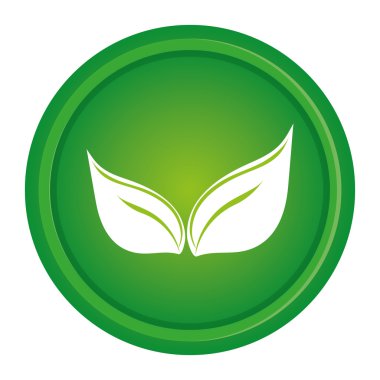 yeşil yaprak doğa yaprakları