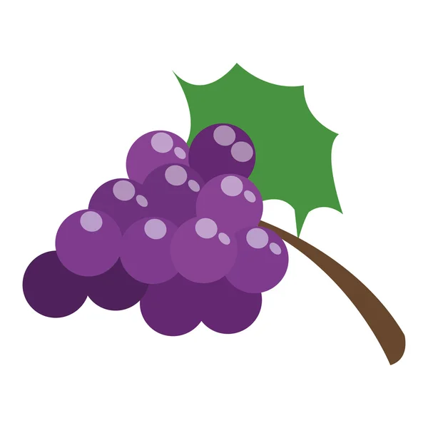 Winogrona z ikoną liść — Wektor stockowy