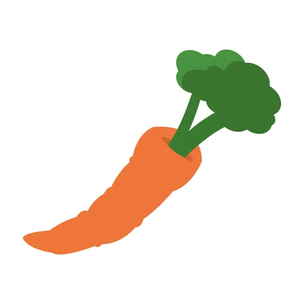 Zanahoria entera con icono de la hoja — Vector de stock
