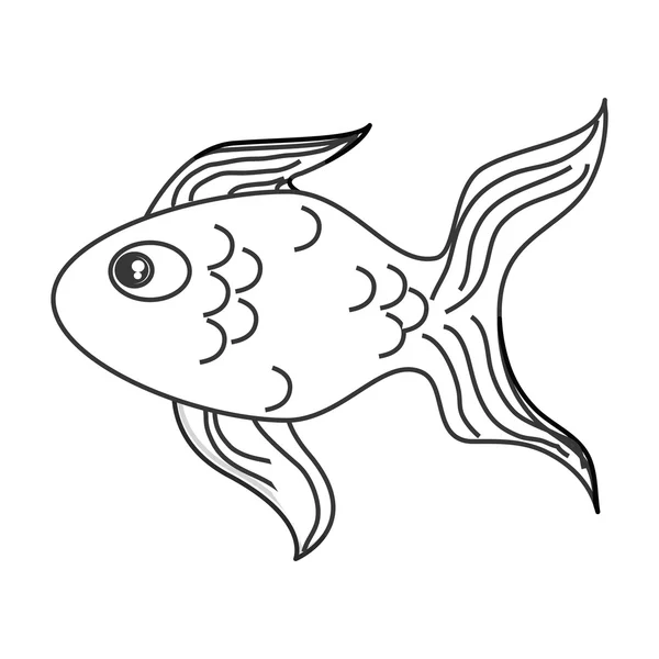 Ikon ikan mas tunggal - Stok Vektor