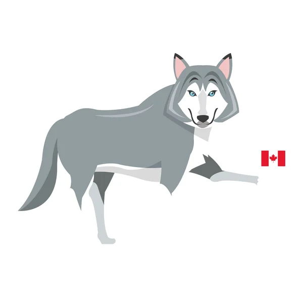캐나다 국기 아이콘으로 큰 늑대 — 스톡 벡터