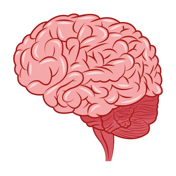 Icono del cerebro humano — Vector de stock