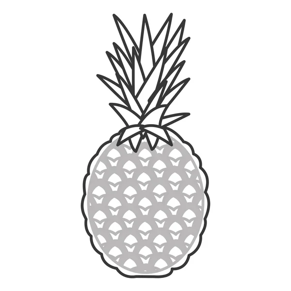 Icône d'ananas entier — Image vectorielle