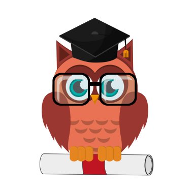 baykuş karikatür mezuniyet kap ve diploma simgesi olan