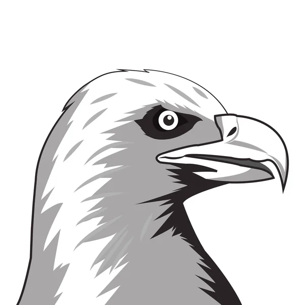 Ikona kreslení Eagle — Stockový vektor
