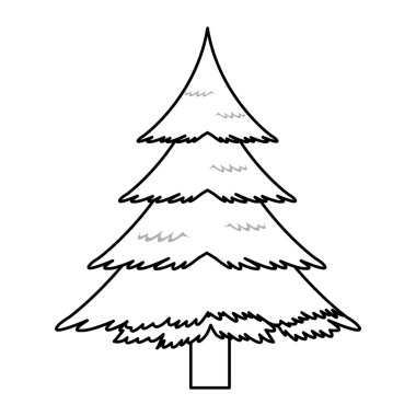 çam ağacı simgesi