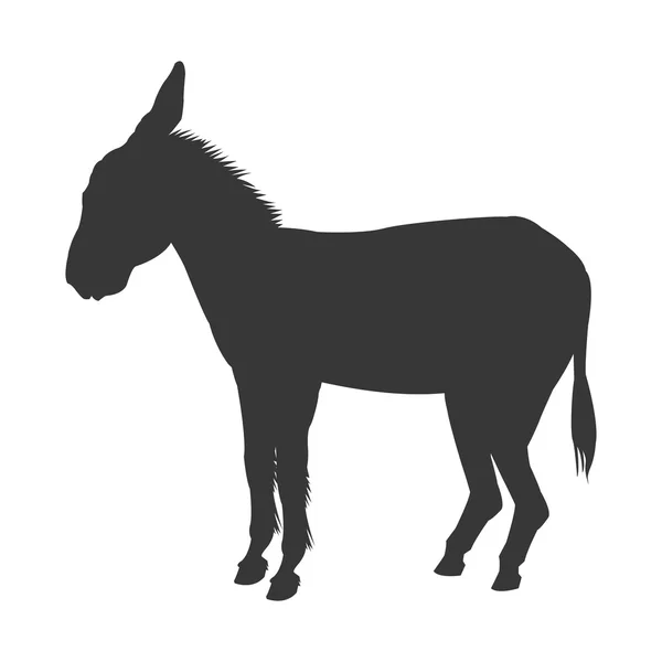 Donkey silhouette icon — Stock Vector