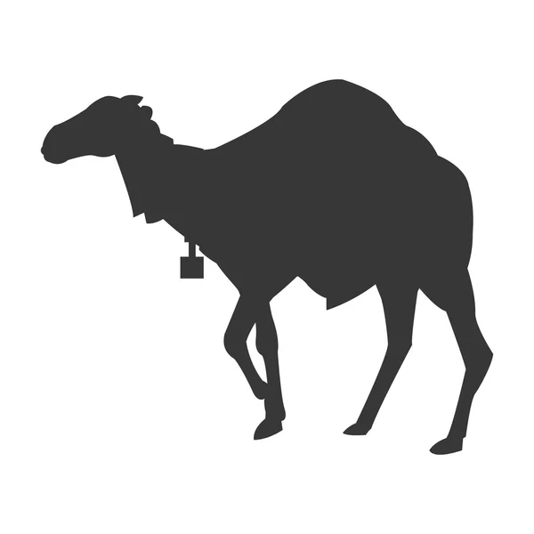 Верблюда силует значок — стоковий вектор