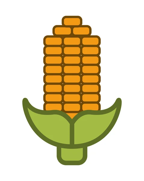 Corn cob icon — Stock Vector