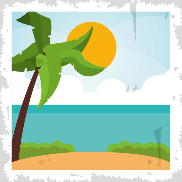 棕榈树暑假假期图标。矢量图形 — 图库矢量图片