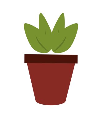 Pot kutsal kişilerin resmi içinde bitki