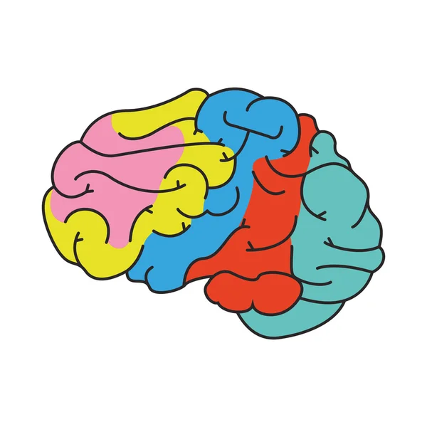 Icono de dibujos animados cerebro humano — Vector de stock