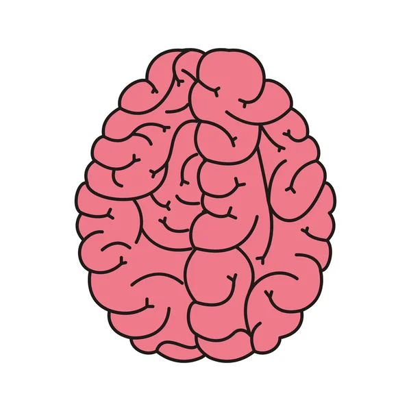Икона человеческого мозга — стоковый вектор