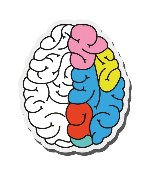 Icono de dibujos animados cerebro humano — Vector de stock