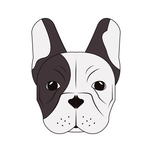 Icône de bulldog français — Image vectorielle