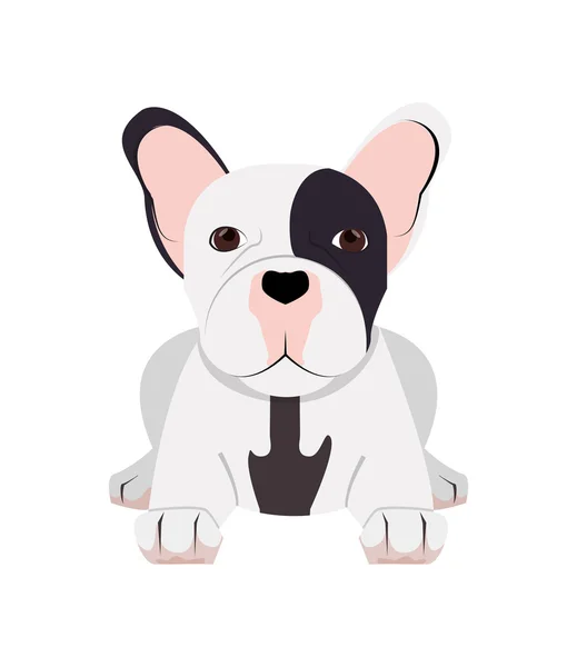 Icono bulldog francés — Vector de stock