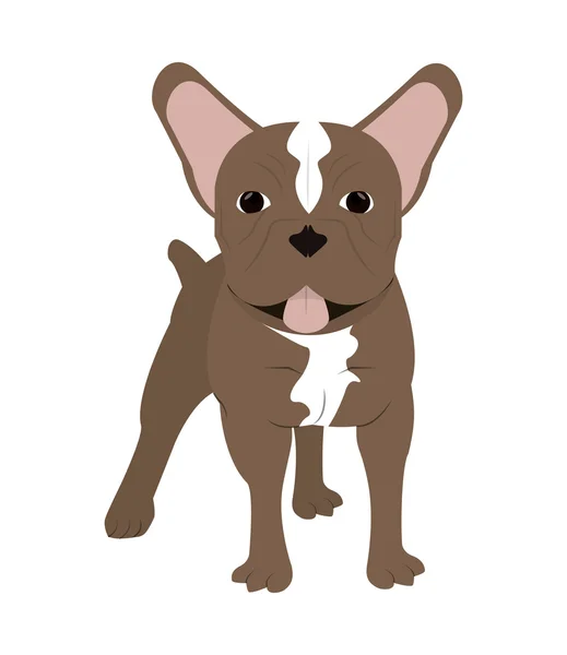 Icono bulldog francés — Vector de stock