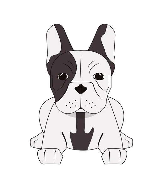 Icono bulldog francés — Vector de stock