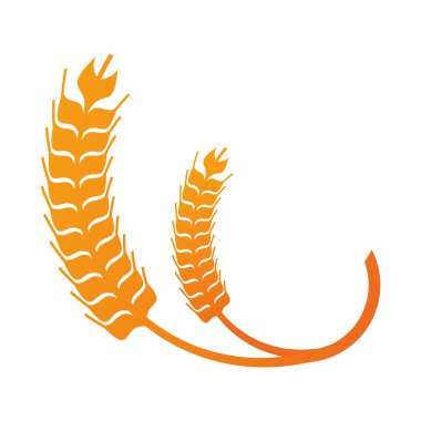 buğday kulak simgesi