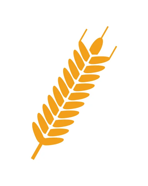 Icône oreille de blé — Image vectorielle