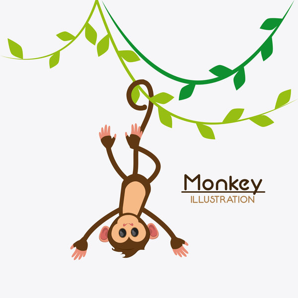 Monkey cartoon animal design