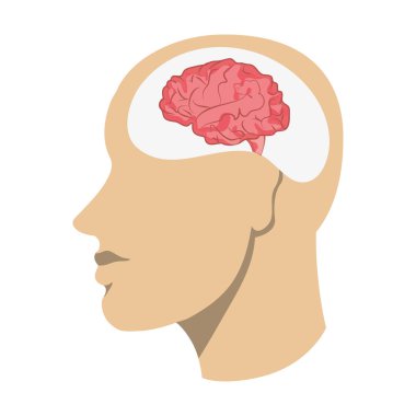 insan beyni kafa simgesi