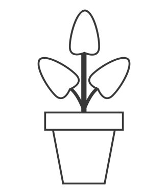 Pot kutsal kişilerin resmi içinde bitki