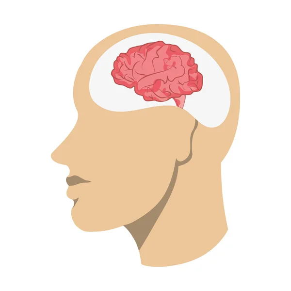 Menschliches Gehirn im Kopf — Stockvektor