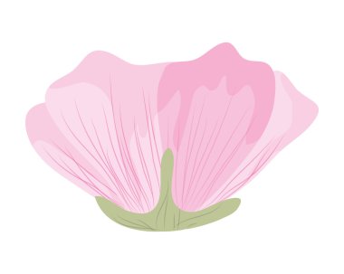 narin çiçek simgesi