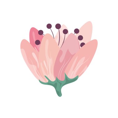 narin çiçek simgesi