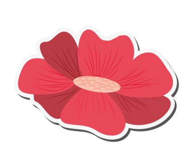 narin çiçek simgesi