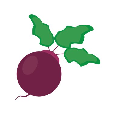 soğan organik gıda tasarım