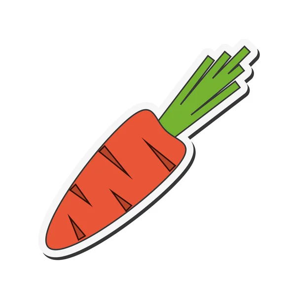 Desain makanan organik wortel - Stok Vektor