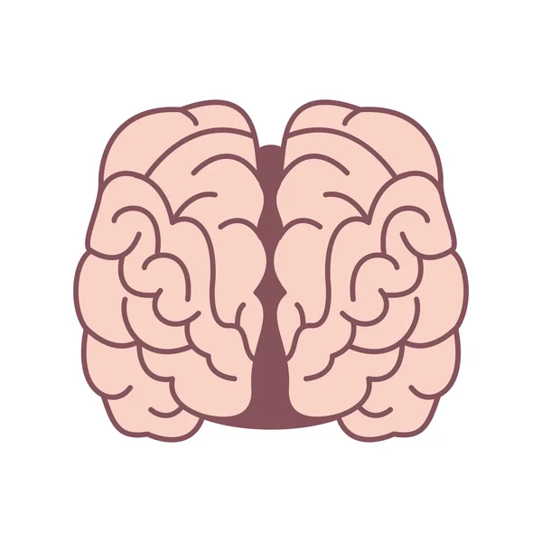 Icono cabeza humana — Vector de stock