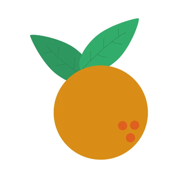 Orange gesundes Essen Design — Stockvektor