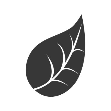 yaprak bitki doğa tasarım