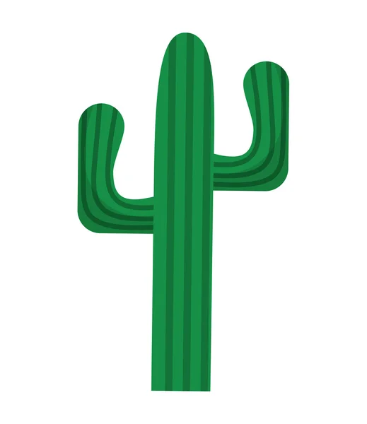 Disegno del deserto della pianta del cactus — Vettoriale Stock