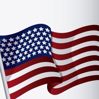 Amerika Birleşik Devletleri tasarımı