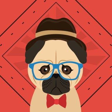 hippi tarzı pug köpek resim