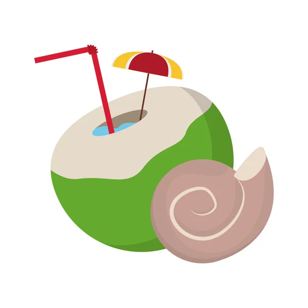 Coctel de coco y el icono de la concha — Archivo Imágenes Vectoriales
