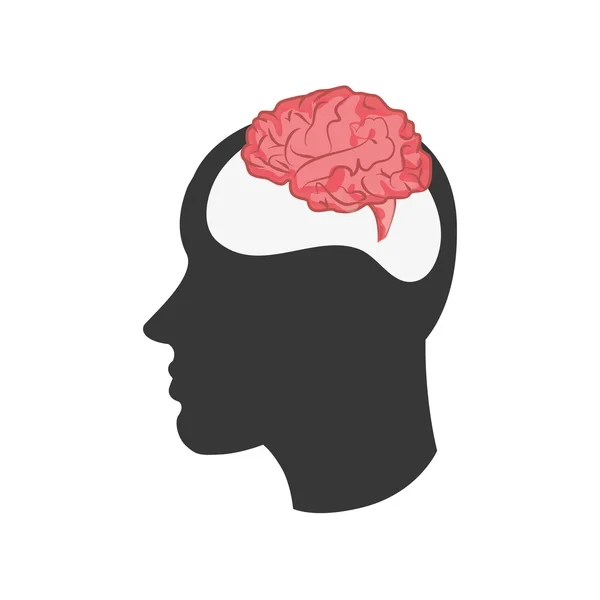 Head silhouette profile and brain icon — Stock Vector